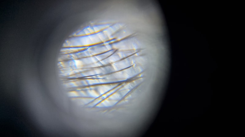 ★ PDRN リトルショット アンプル 4週目体験談★