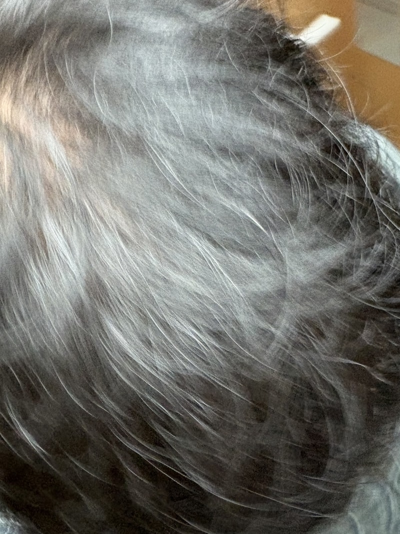 ブラックフォーレルートパワーシャンプー3週目の体験談