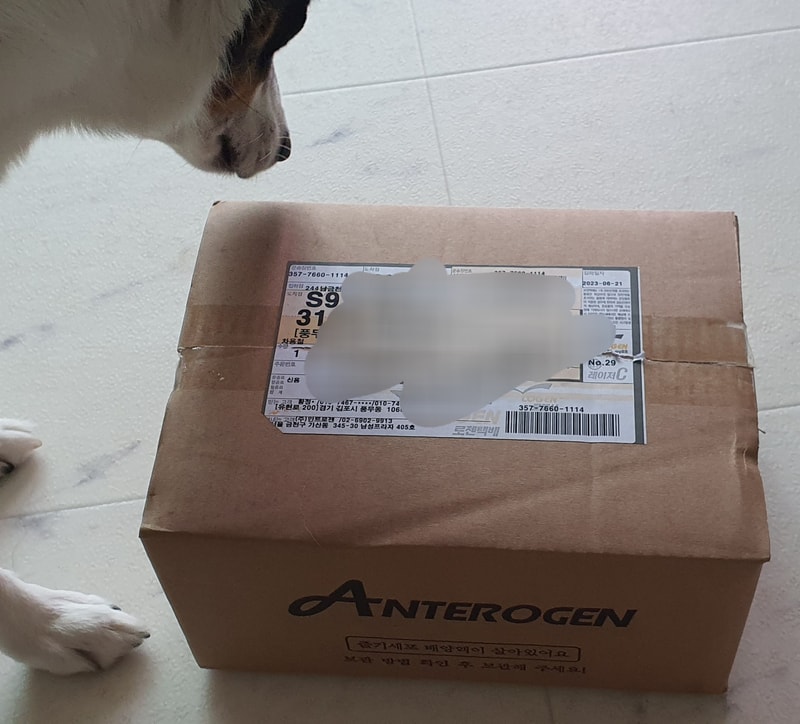 Antrogen Motton 开封机与注射