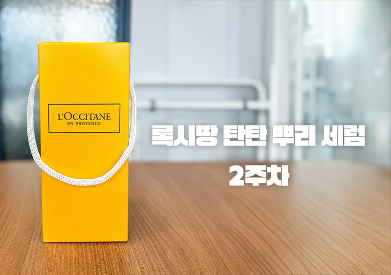 タンタン根元セラム2週目