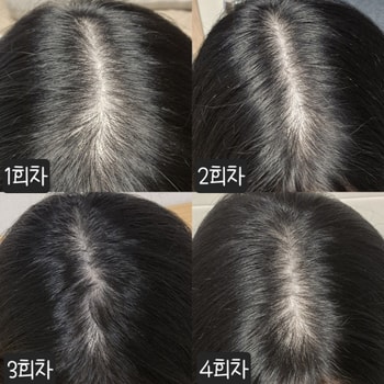 지금까지의 가르마 기록