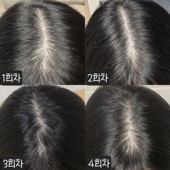 1-4회차후기
