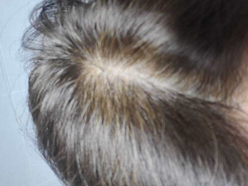 ブラックフォーレ2週目