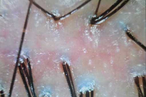 アヴェダ店への訪問レニューです。