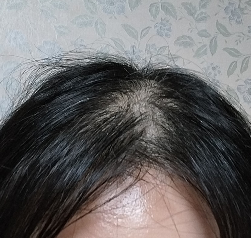 체험전