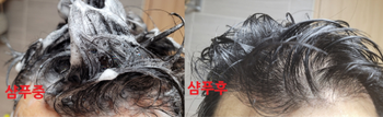 [사진2] 샴푸하는 중 미세거품 사진 vs. 머리 헹구고 난 이후 힘있는 머릿결