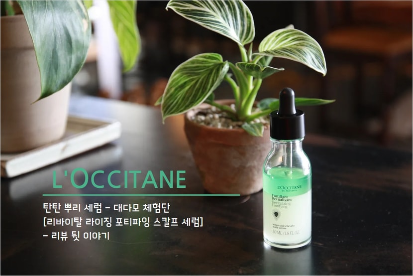 록시땅 그 뒤의 이야기를 하고자 합니다~