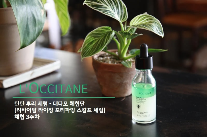 록시땅 탄탄 뿌리 세럼 체험단 3주차 후기(+매장 방문기)