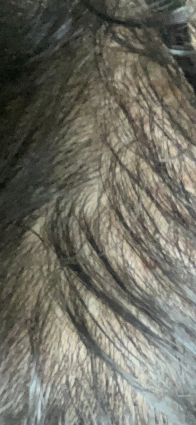 3週目体験談残してみます。