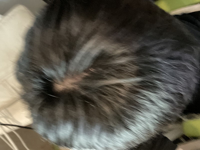 Haum 2주차 후기!