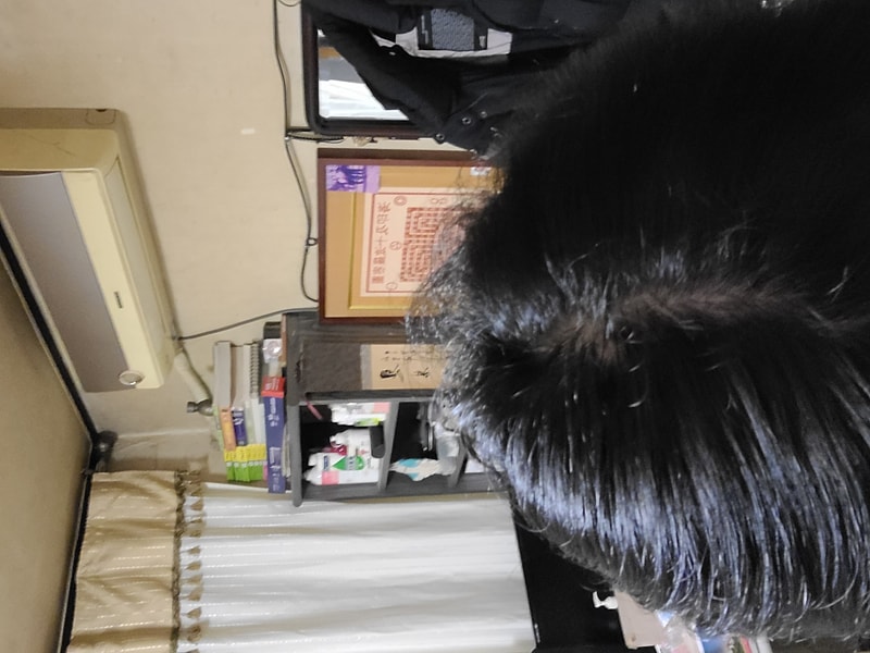 헤어미라클 4주차 후기