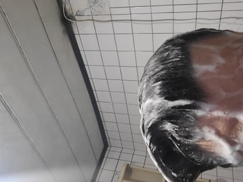 거품은 중상정도 입니다