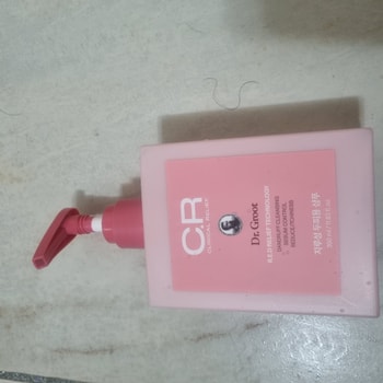 샴프사진