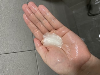 제형