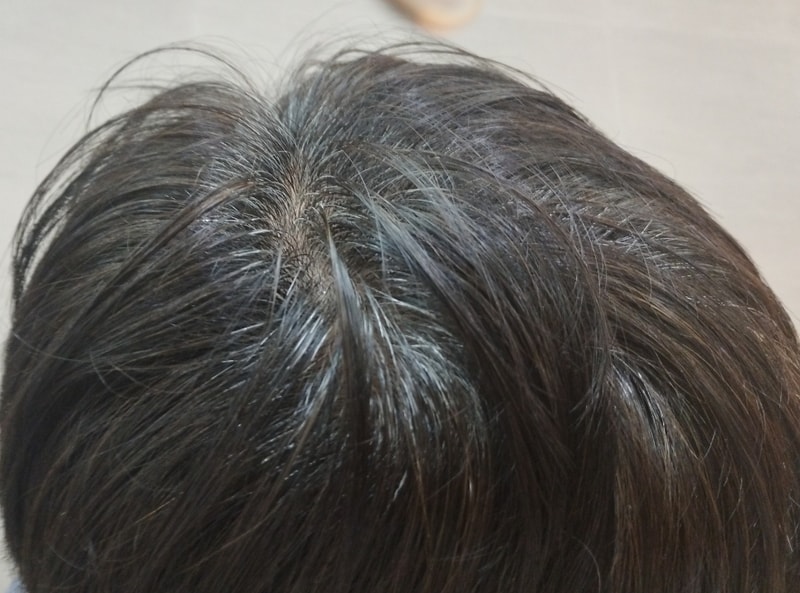 2주차 체험후기