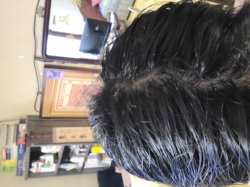 黑森林之根力量2周后期