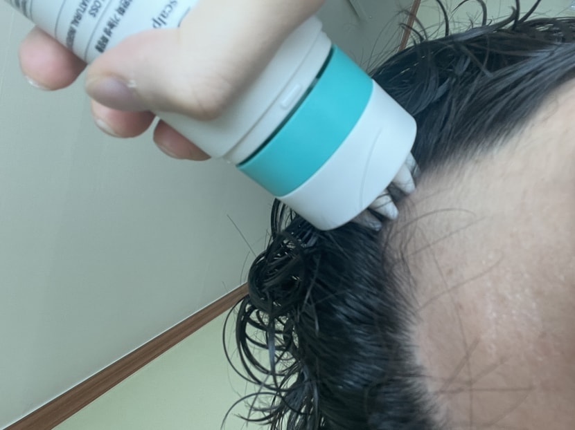 비엘모 사용