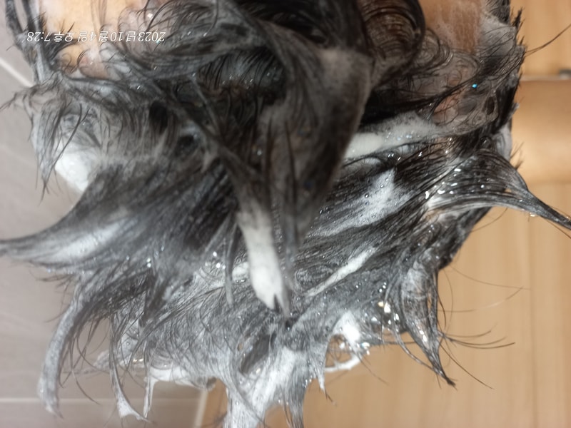 <1週目>ソイシディル製品群(シャンプー、フォーム、ビオチン)使用後の体験談