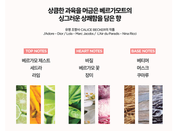 분명 사진이 있었는데...없어졌습니다. 웹에서 겨우 찾음...이런 향입니다 여러분!