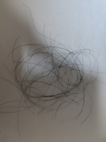 사용전 머리카락 탈락