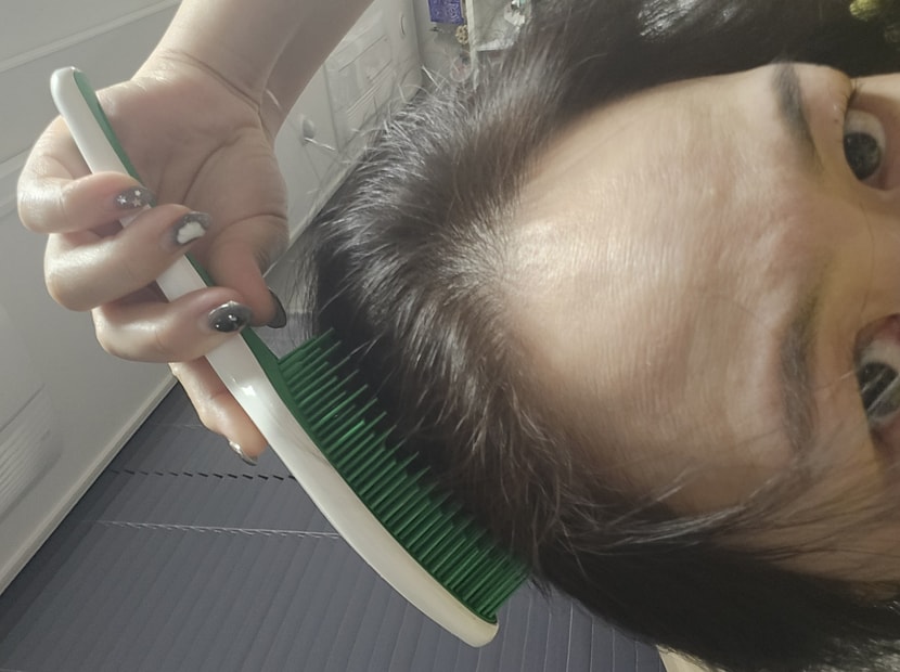 빗질 자주하기 