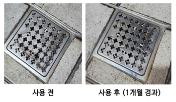 전후 모발 탈락 수