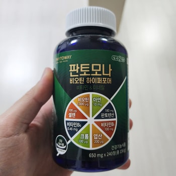 판토모나 사진