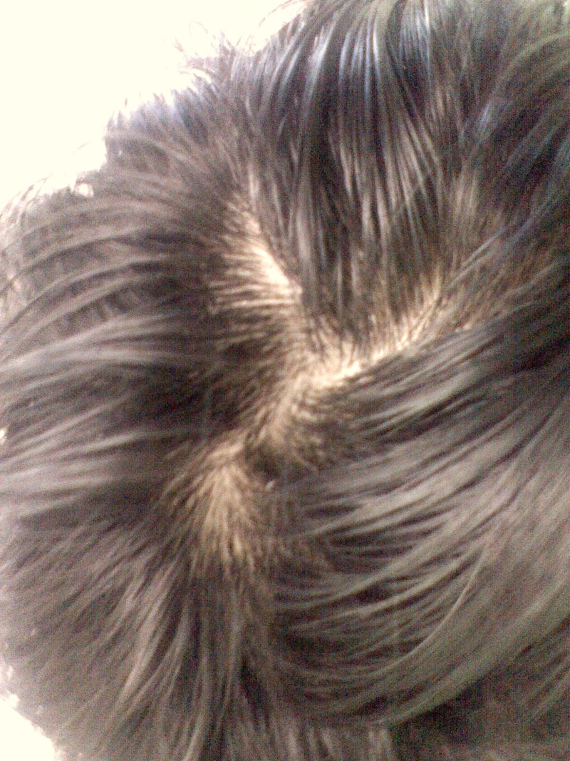 정수리사진이요..