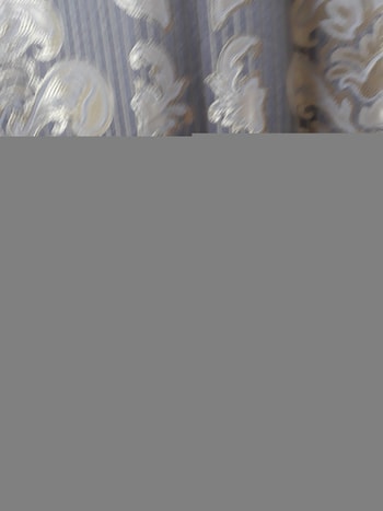 정면에서 본 엠자