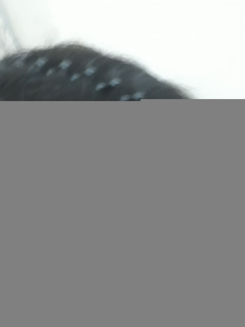 왼쪽 엠자부분