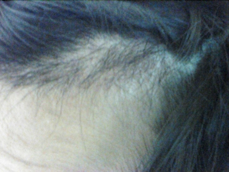 IMG226.jpg