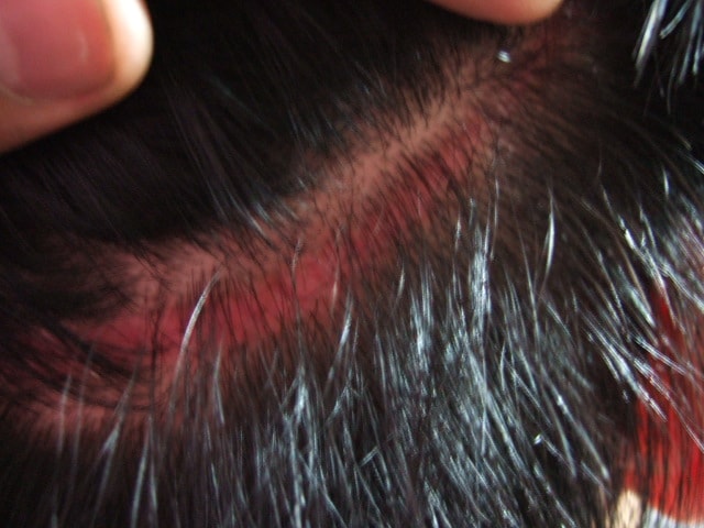 DSCF0547.JPG