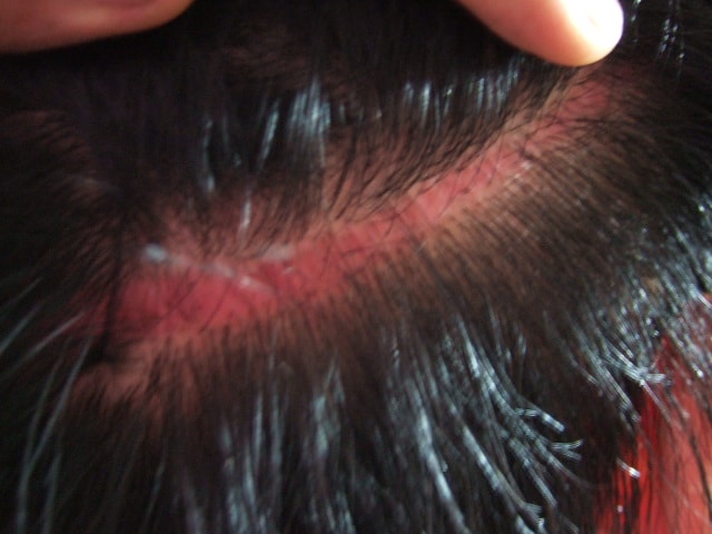 DSCF0548.JPG