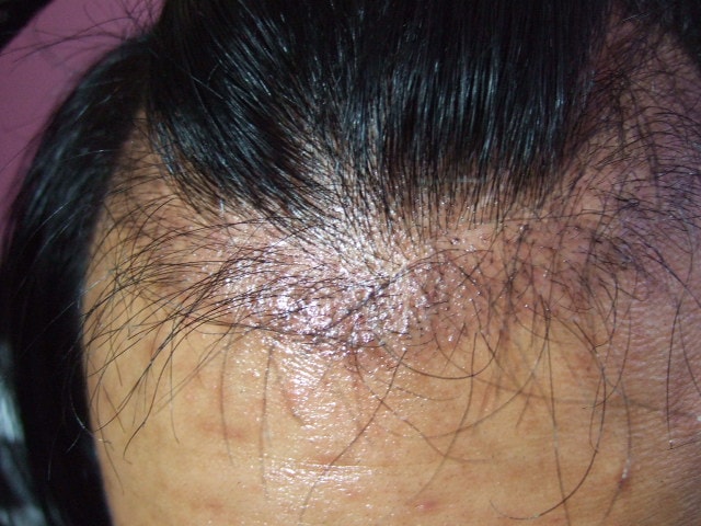 DSCF0550.JPG