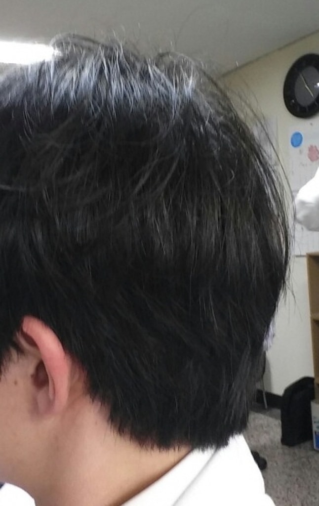 ひと月過ぎましたね 事務室で上げます