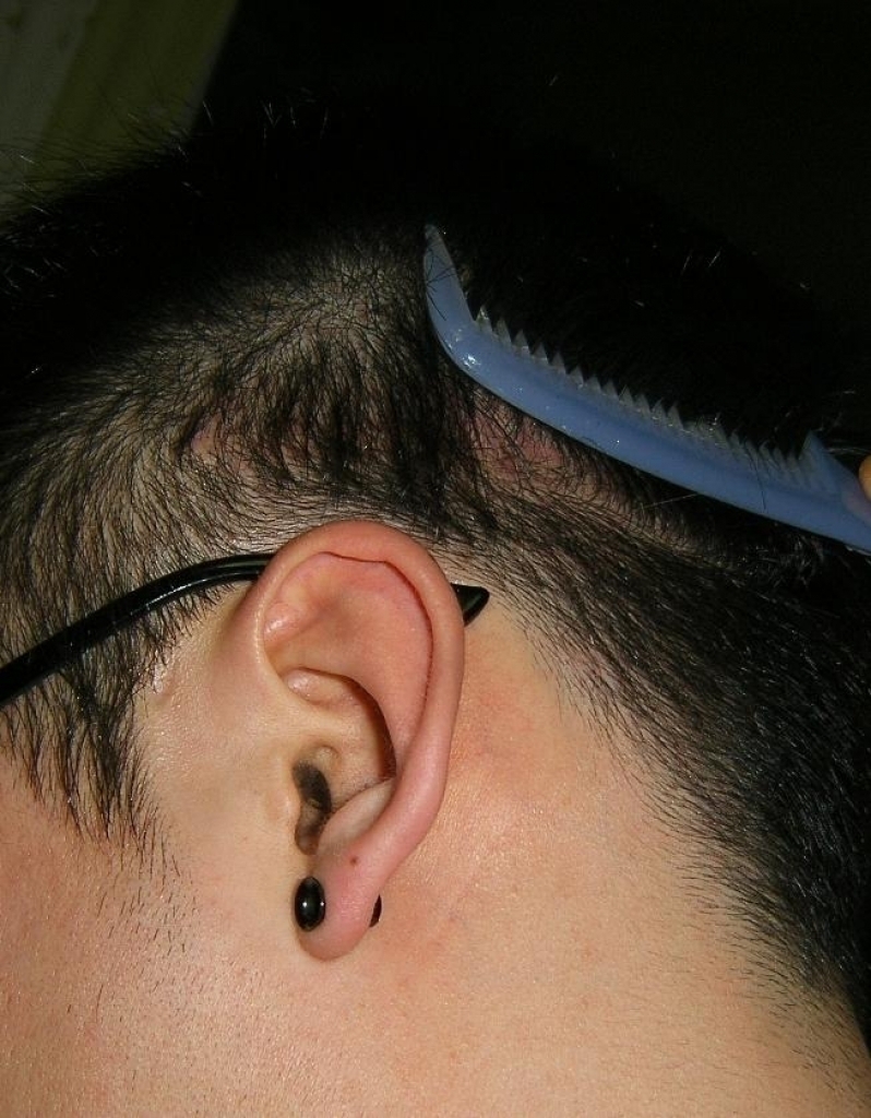 back1.JPG