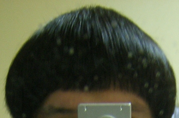 SA500238.JPG