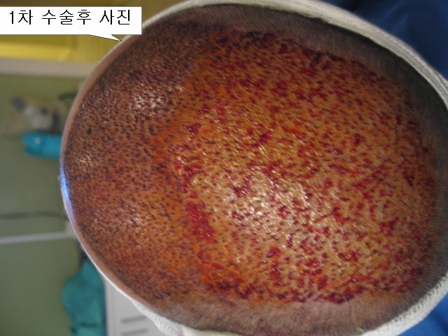 작업한거2IMG_9523.jpg