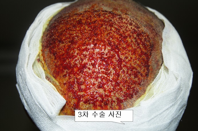 작업한거2DSC06248.JPG
