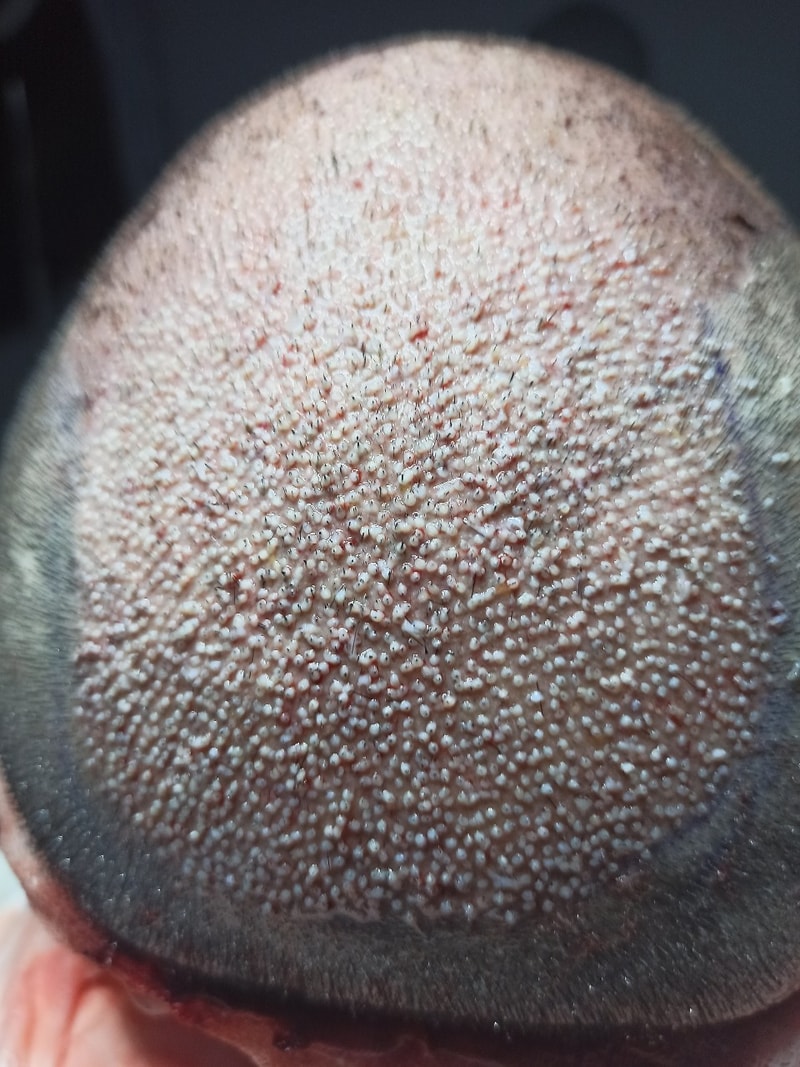 1639664485675-2.jpg