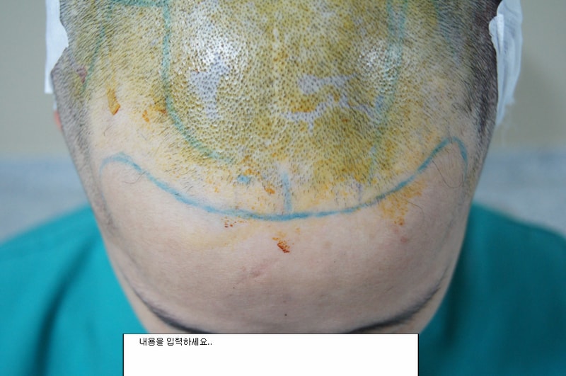 작업한거2DSC04730.JPG