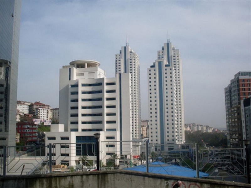 ascioglu_selenium_twins_6.jpg