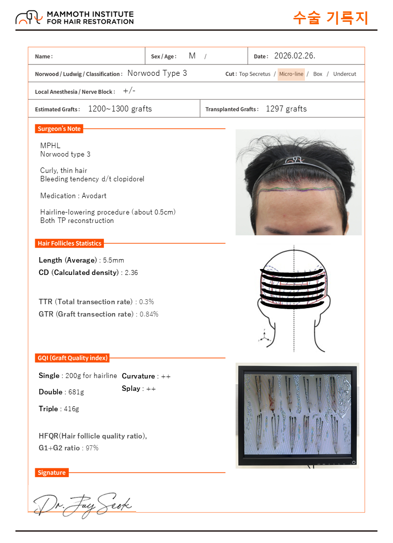 압구정 맘모스 비절개 사파이어 슬릿 모발이식 당일 후기
