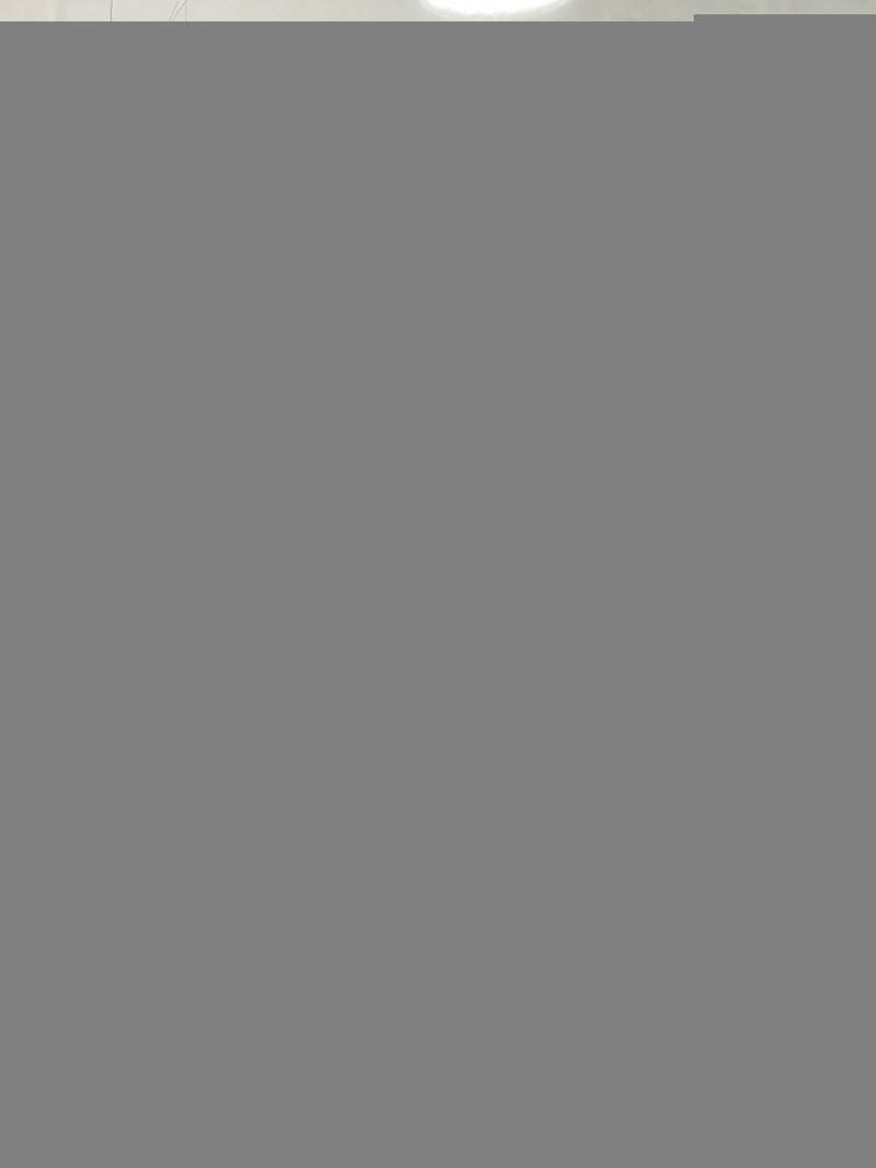 46DB6D51-D2EA-4C44-B9CD-A47992A2F131.jpeg