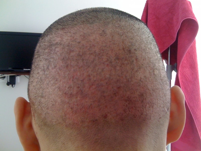 t6.jpg