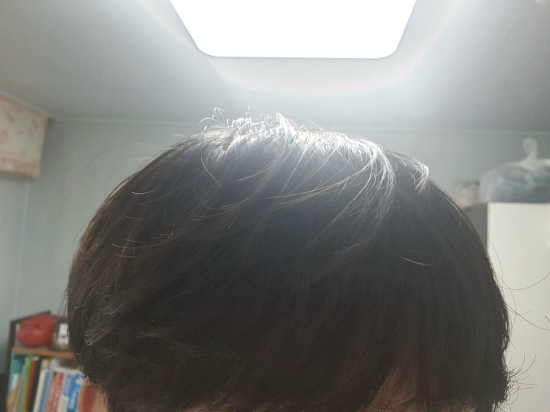 KakaoTalk_20210507_161653395.jpg
