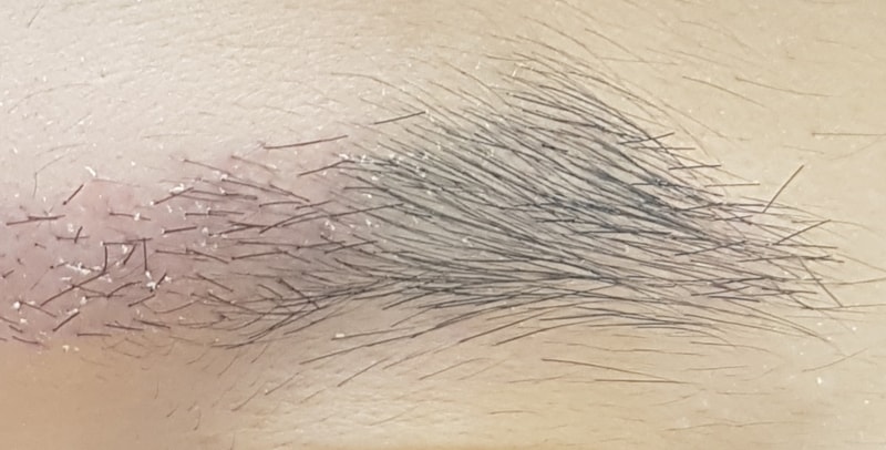 20181112_113736.jpg