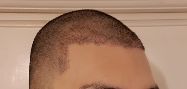 2.jpeg