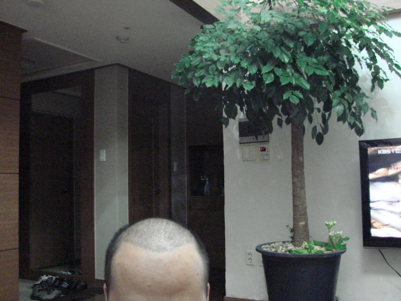 크기변환_DSC00626.JPG