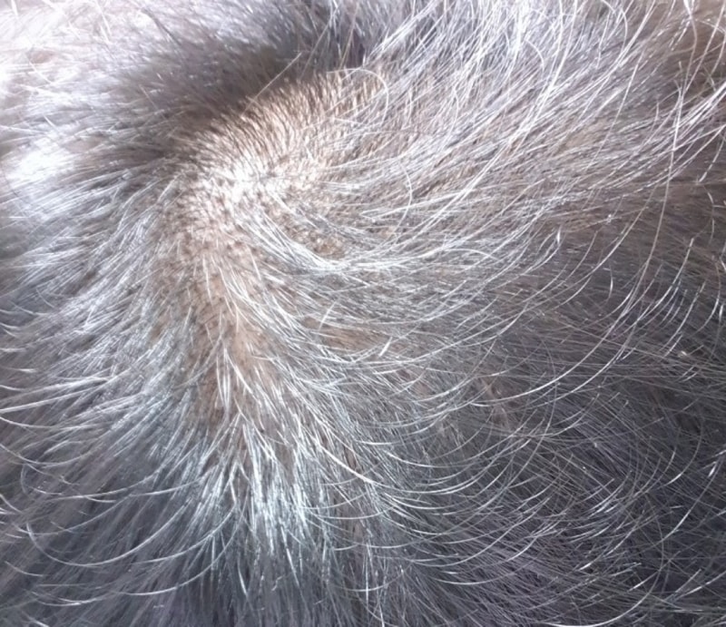 20180811_184816.jpg
